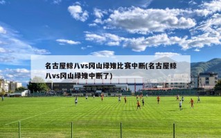 名古屋鲸八vs冈山绿雉比赛中断(名古屋鲸八vs冈山绿雉中断了)