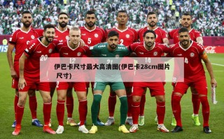 伊巴卡尺寸最大高清图(伊巴卡28cm图片 尺寸)