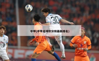 中甲(中甲足球积分榜最新排名)