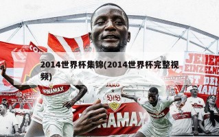 2014世界杯集锦(2014世界杯完整视频)