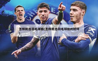 怎样挑选羽毛球拍(怎样挑选羽毛球拍的好坏)