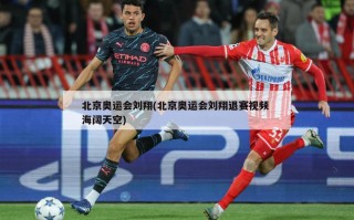 北京奥运会刘翔(北京奥运会刘翔退赛视频 海阔天空)