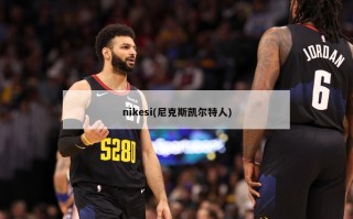 nikesi(尼克斯凯尔特人)