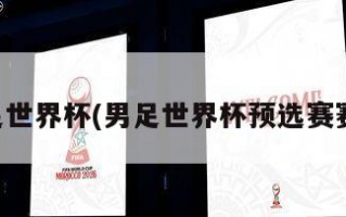 男足世界杯(男足世界杯预选赛赛程)
