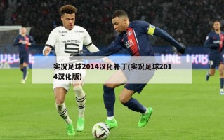 实况足球2014汉化补丁(实况足球2014汉化版)
