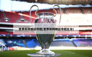 世界杯阿根廷夺冠(世界杯阿根廷夺冠比分)