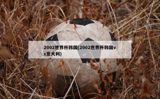 2002世界杯韩国(2002世界杯韩国vs意大利)