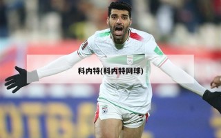 科内特(科内特网球)