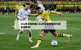 nba季后赛数据(nba季后赛数据算不算生涯数据)
