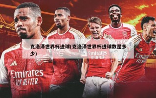 克洛泽世界杯进球(克洛泽世界杯进球数是多少)