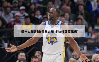 贵州人和足球(贵州人和 足协杯冠军阵容)