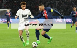 欧洲杯2014(欧洲杯2024)