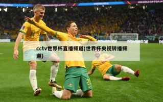cctv世界杯直播频道(世界杯央视转播频道)
