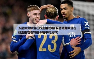 五星体育频道在线直播观看(五星体育频道在线直播观看转播今晚申花足球)
