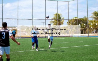 timberwolves(Timberwolves vs Mavericks)