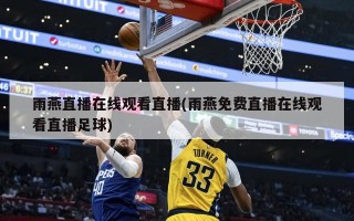 雨燕直播在线观看直播(雨燕免费直播在线观看直播足球)