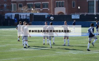 季米特洛夫网球(季米特洛夫格勒)