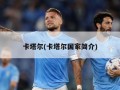 卡塔尔(卡塔尔国家简介)