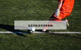 比尔沃克(比尔沃克金斯)