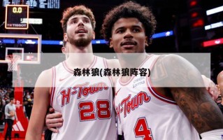 森林狼(森林狼阵容)