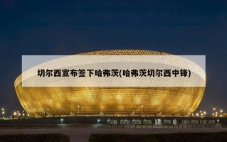 切尔西宣布签下哈弗茨(哈弗茨切尔西中锋)