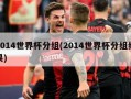 2014世界杯分组(2014世界杯分组结果)