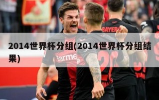2014世界杯分组(2014世界杯分组结果)