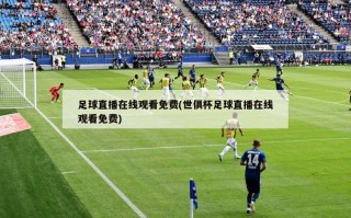 足球直播***免费(世俱杯足球直播***免费)