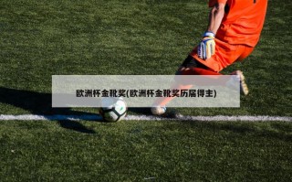 欧洲杯金靴奖(欧洲杯金靴奖历届得主)