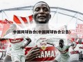 中国网球协会(中国网球协会公告)