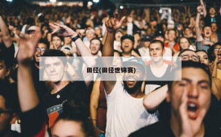 田径(田径世锦赛)