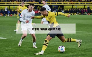 天下足球梅西的简单介绍