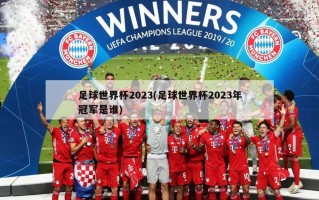足球世界杯2023(足球世界杯2023年冠军是谁)