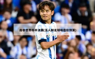 南非世界杯半决赛(五人制足球场造价预算)