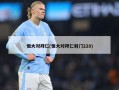 恒大对拜仁(恒大对拜仁射门228)