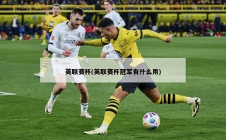 英联赛杯(英联赛杯冠军有什么用)