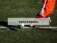 萨波纳拉(萨波纳拉融合)