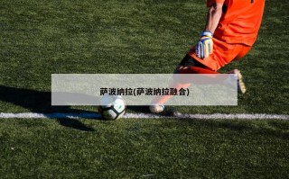 萨波纳拉(萨波纳拉融合)