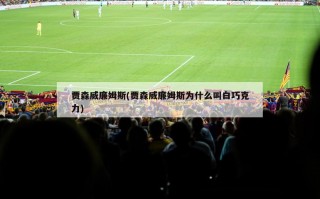 贾森威廉姆斯(贾森威廉姆斯为什么叫白巧克力)