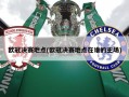欧冠决赛地点(欧冠决赛地点在谁的主场)