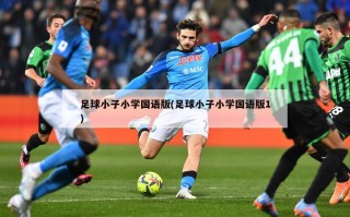 足球小子小学国语版(足球小子小学国语版1)