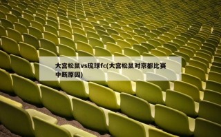 大宫松鼠vs琉球fc(大宫松鼠对京都比赛中断原因)