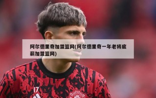 阿尔德里奇加盟篮网(阿尔德里奇一年老将底薪加盟篮网)